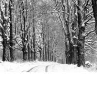 Maple Hill Road Winter